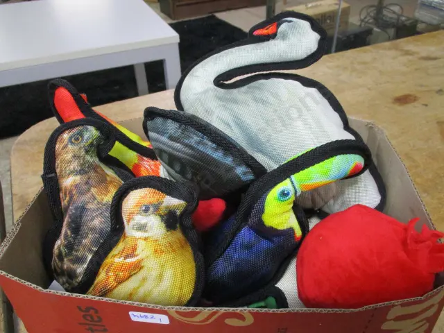 Box of Birds Image 1++
