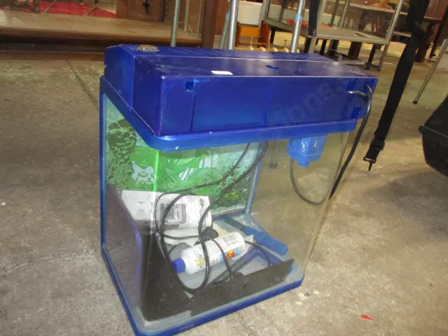 Fish Tank Image 1++