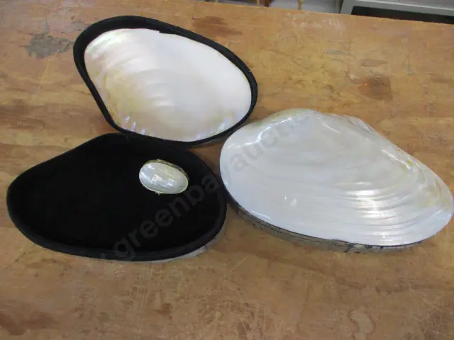 2 Shell Trinket Boxes Image 1++