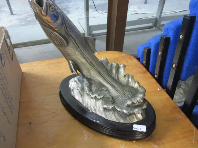 Fish Image 1++