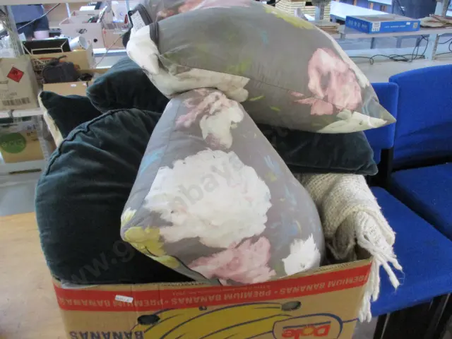Cushions and Throw Image 1++