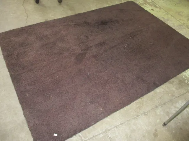 Rug Image 1++
