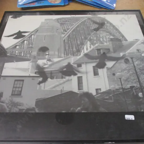 Framed Print