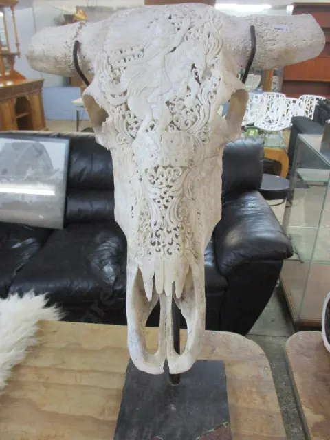 Carved Buffalow Skull Image 1++