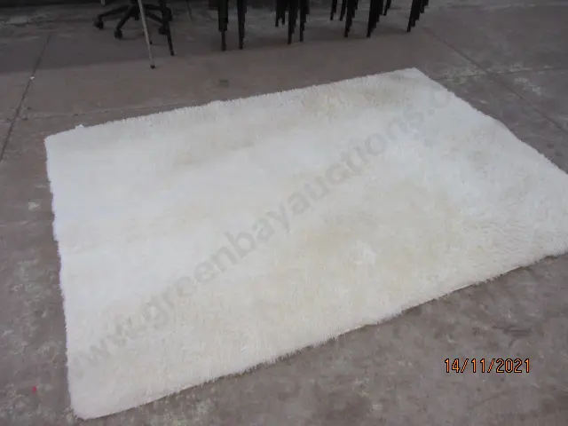 Shaggy Rug Image 1++