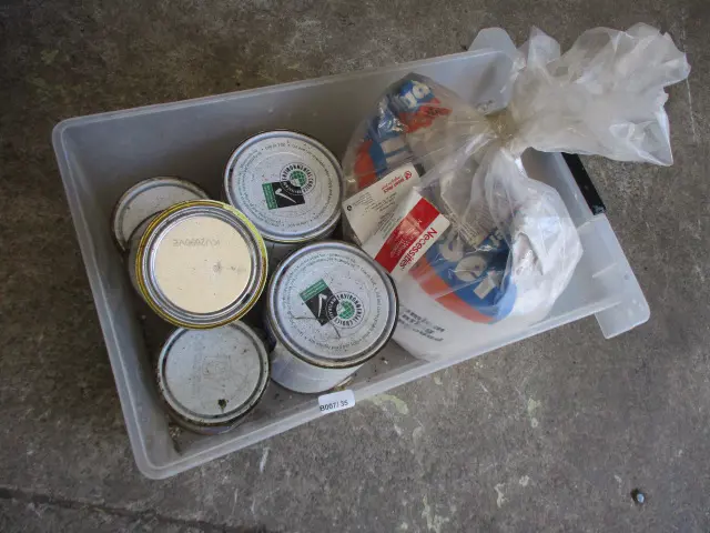Paint Image 1++