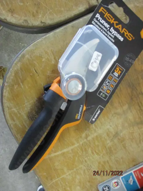 Pruner Image 1++
