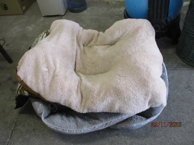 Pet Beds Image 1++