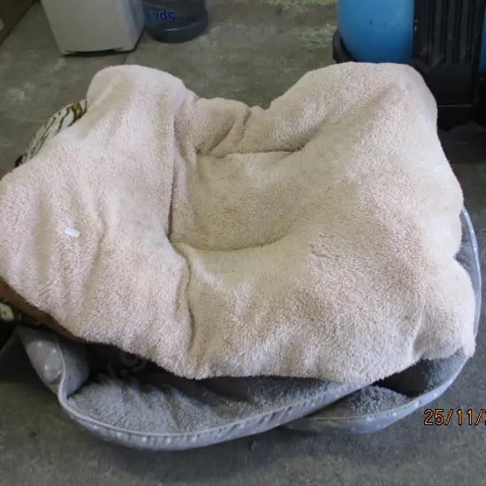 Pet Beds
