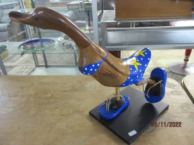 Running Duck Image 1++