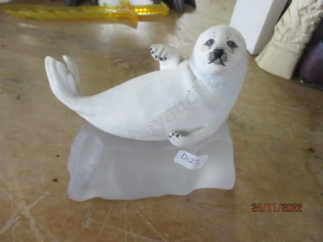 Seal Pup Image 1++