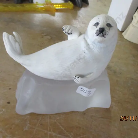 Seal Pup