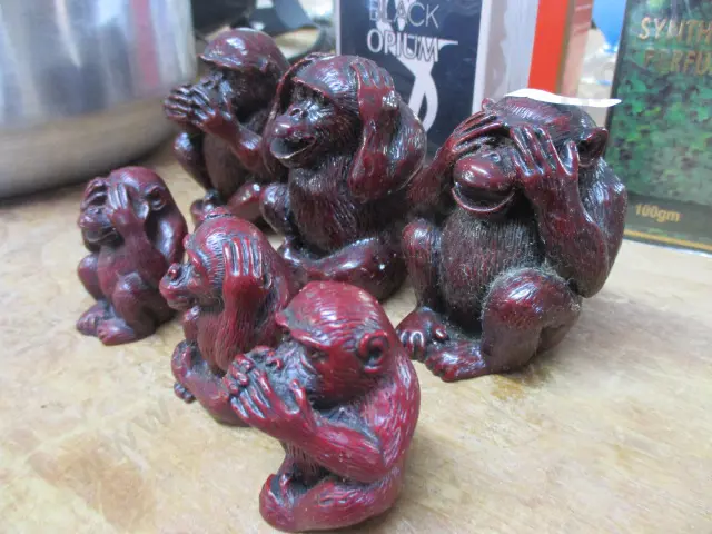 Wise Monkey Image 1++