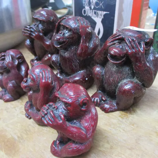 Wise Monkey