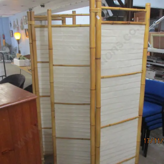 2 Cane Screens