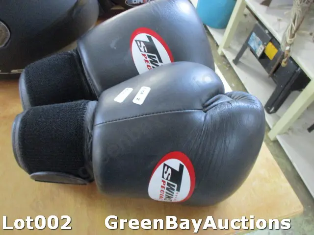 Boxing Gloves Image 1++