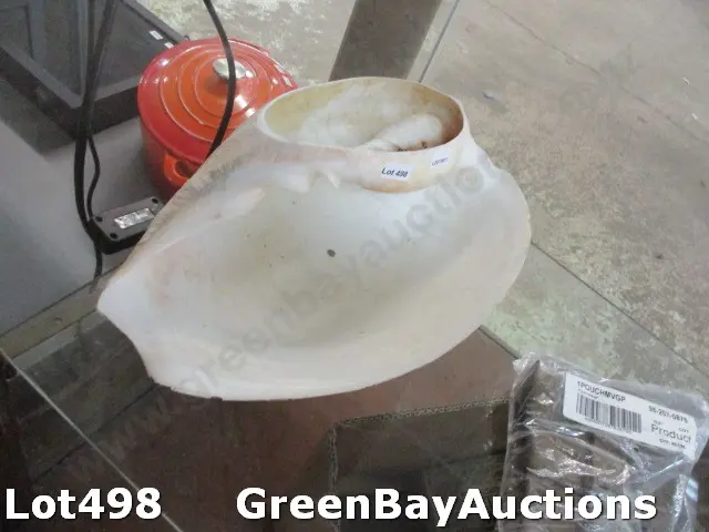 Sea Shell Bailer Image 1++