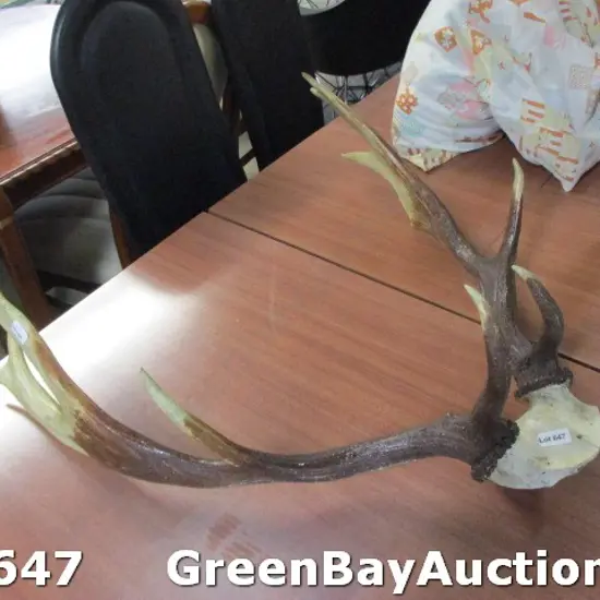 Antlers