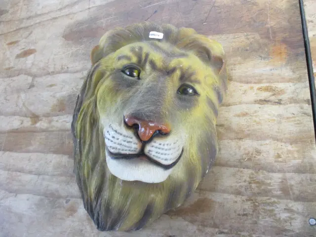 Decorative Lion Image 1++