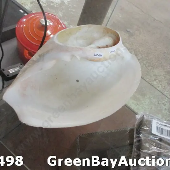 Sea Shell Bailer