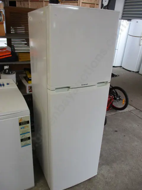 Fridge Freezer Image 1++