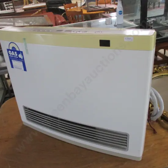 Gas Heater