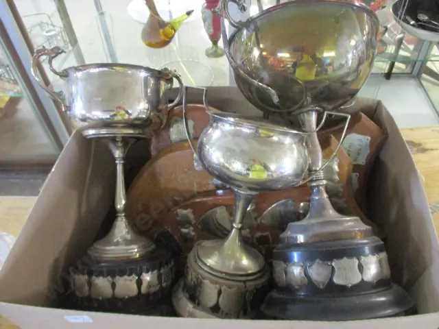 Trophies Image 1++