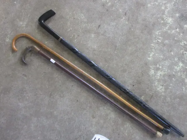 Walking Sticks Image 1++