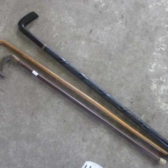 Walking Sticks