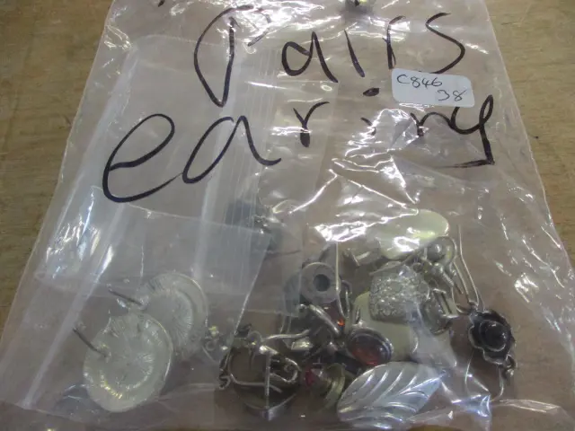 Earrings Image 1++