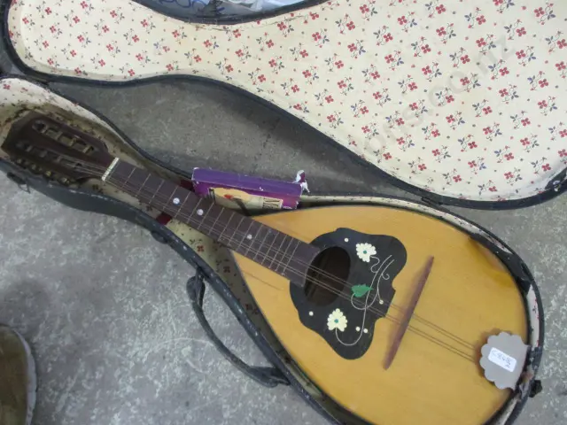 Mandolin Image 1++