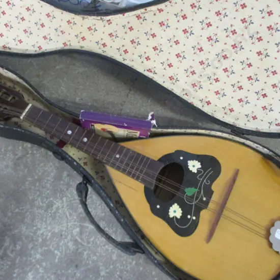 Mandolin