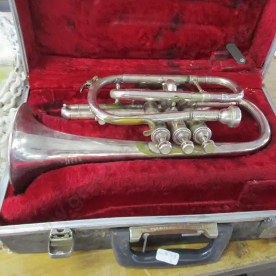 Cornet