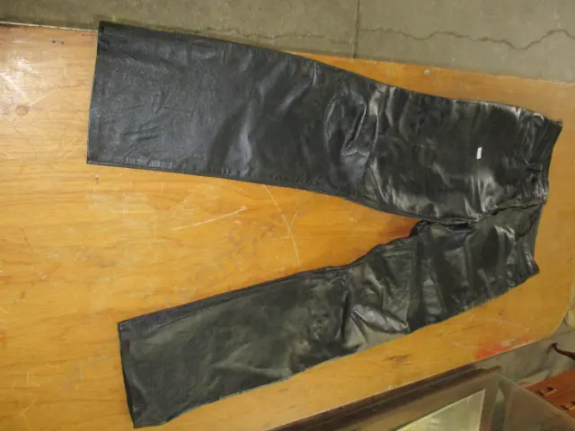 Leather Pants Image 1++