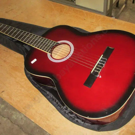 Guitar